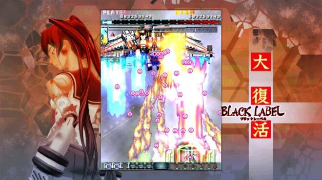 DoDonPachi Resurrection PC Crack DoDonPachi Resurrection PC Crack