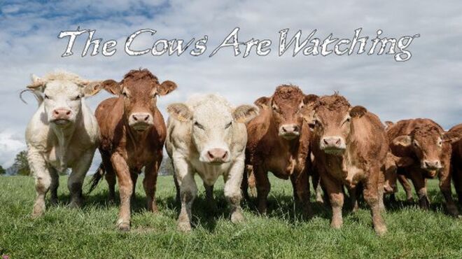 The Cows Are Watching free download