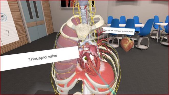 3D Organon VR Anatomy PC Crack