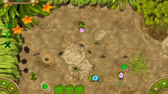 ant queen game free