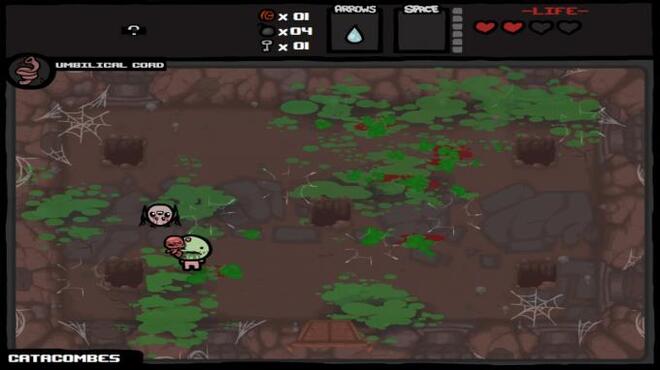 Binding of Isaac: Wrath of the Lamb PC Crack