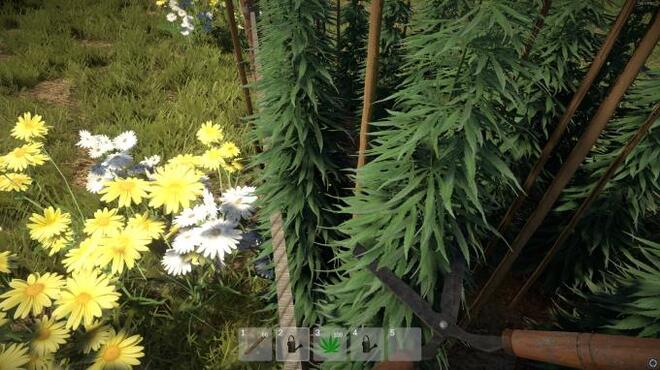 Weed Farmer Simulator PC Crack