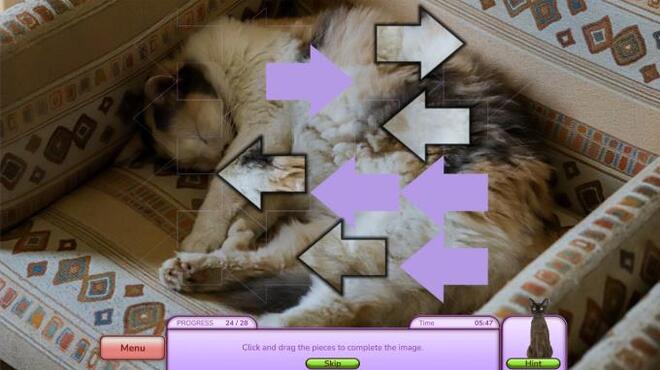 I Love Finding MORE Cats Torrent Download