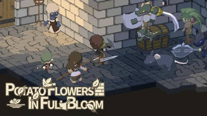 Potato Flowers in Full Bloom Free Download