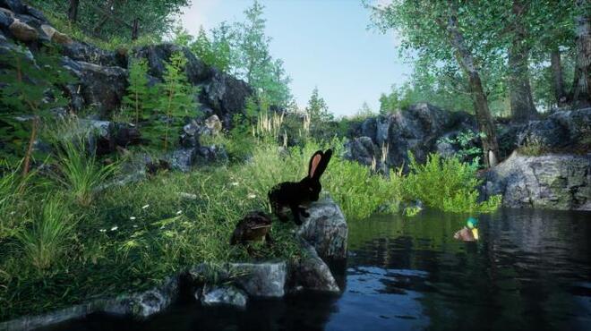 Rabbit Meadow PC Crack