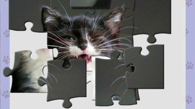 1001 Jigsaw. Cute Cats 4 PC Crack