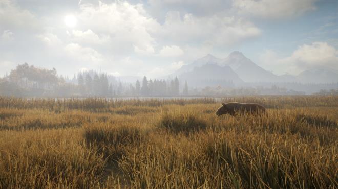 theHunter: Call of the Wild PC Crack