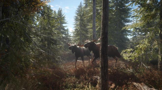 theHunter: Call of the Wild Torrent Download