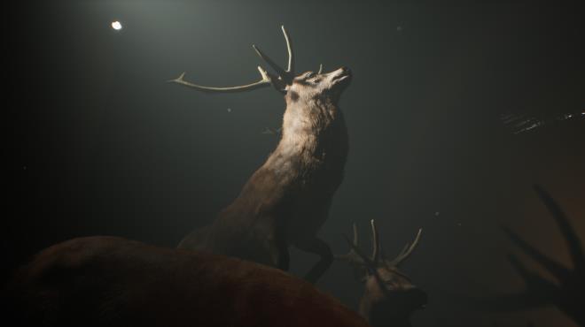 Project 13: Taxidermy Trails Torrent Download