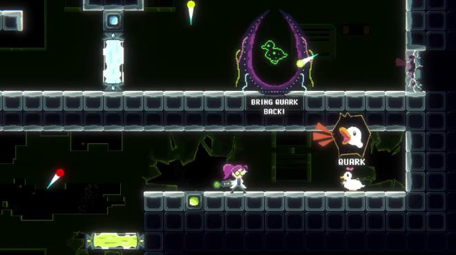 Duck Paradox Torrent Download