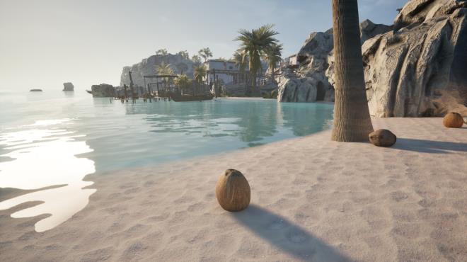 Coconut Simulator PC Crack