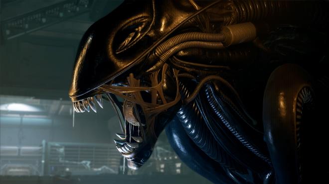 Alien: Rogue Incursion Torrent Download