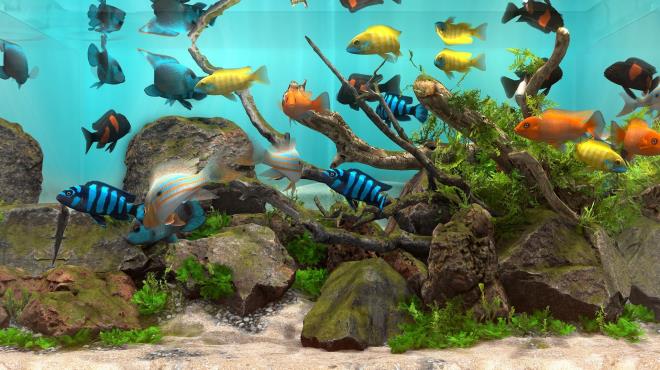 Behind Glass: Aquarium Simulator Torrent Download