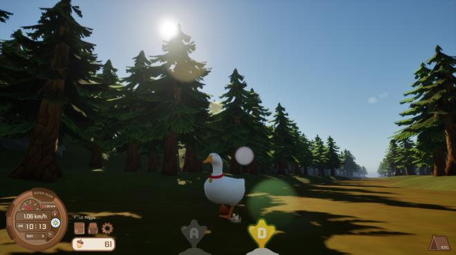 Ducky: The Curious Torrent Download