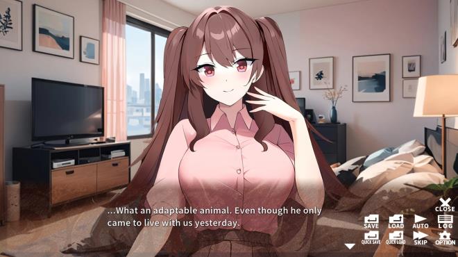 おしかけねーちゃん Can I crash at your place? Torrent Download