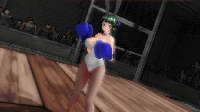 Gamble Fight Plus Torrent Download