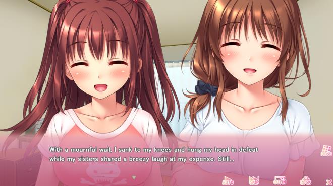 Ichigo's Study Sessions PC Crack