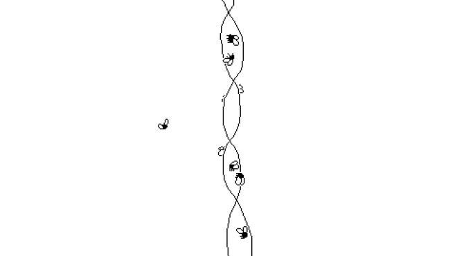 Time Flies Torrent Download