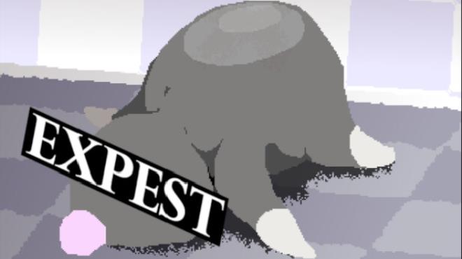 EXPEST Free Download