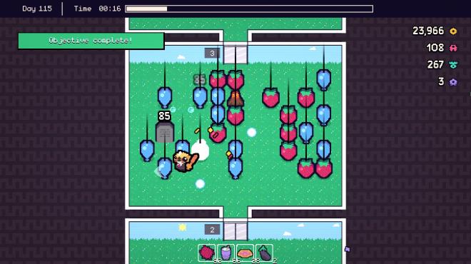 Piñata Go Boom Torrent Download