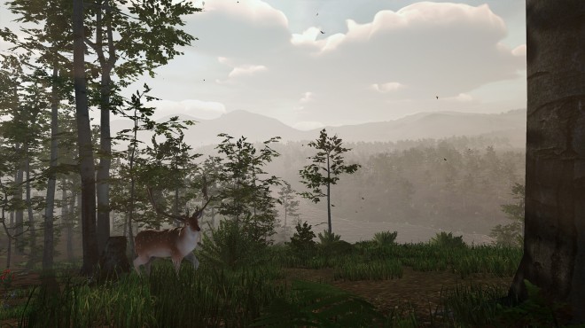 Virtual Hunter Torrent Download