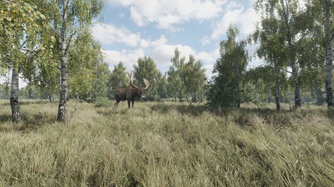 On the Hunt Torrent Download