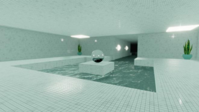 The Wetrooms: Liminal Pools PC Crack
