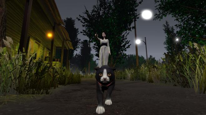 Shadows in Silence PC Crack