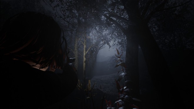 Cult of Dawn PC Crack Cult of Dawn PC Crack