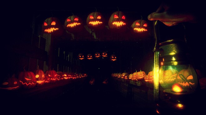 Terror in the Corn Torrent Download Terror in the Corn Torrent Download