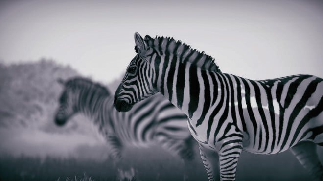 Seclusa PC Crack Seclusa PC Crack