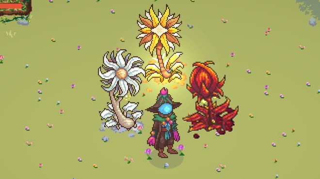 FloraMancer : Seeds and Spells Torrent Download