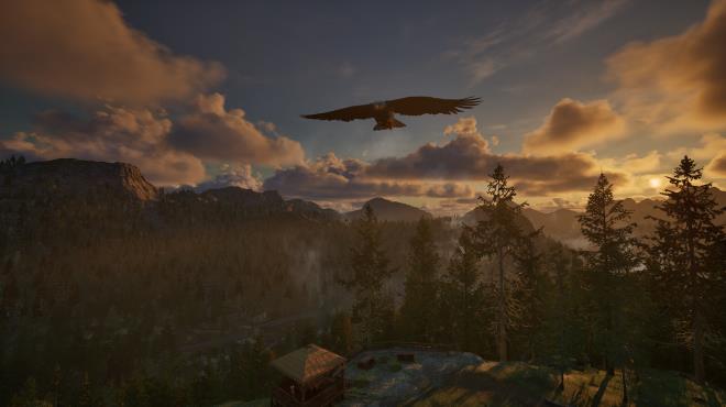 Ranger's Path: National Park Simulator Torrent Download