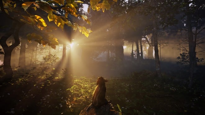 Adorable Adventures PC Crack