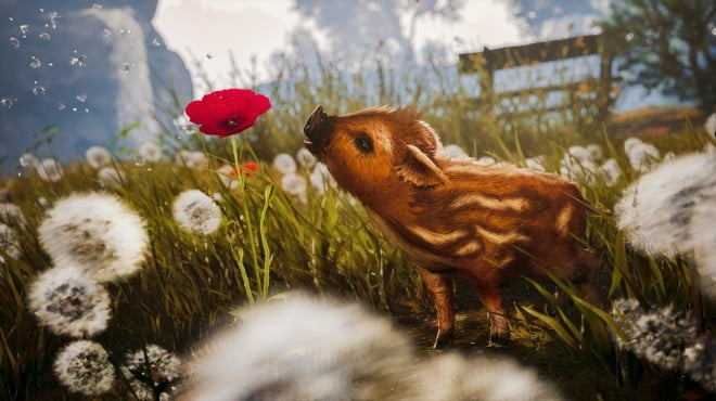 Adorable Adventures Torrent Download