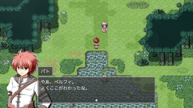 LUMINEX QUARTET PC Crack