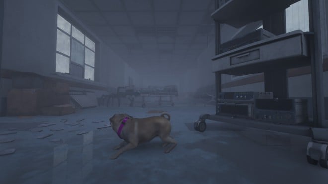 The Good Dog: Chasing Shadows Torrent Download