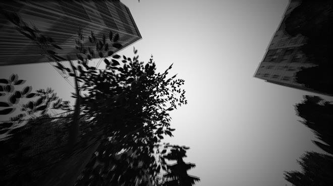 monoch room Torrent Download