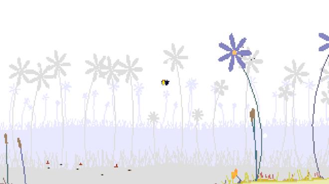 Bombini Torrent Download