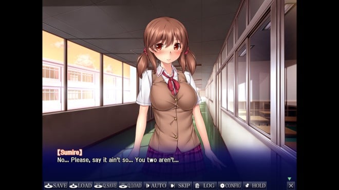 Sumire's Secret Torrent Download