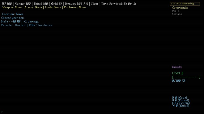 Dark Hollow RPG PC Crack