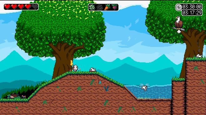 The Duck Amikaze Strikes Back Torrent Download