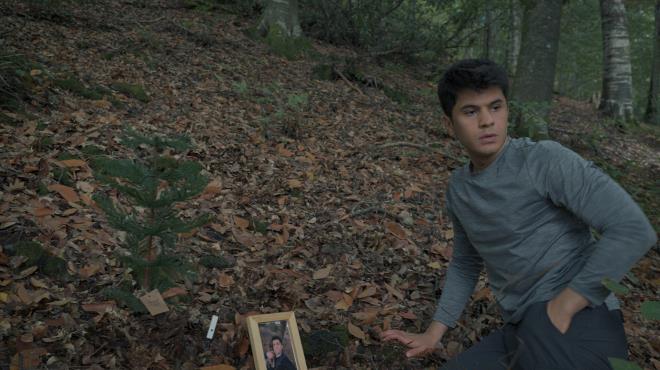 Wordless Forest Torrent Download Wordless Forest Torrent Download