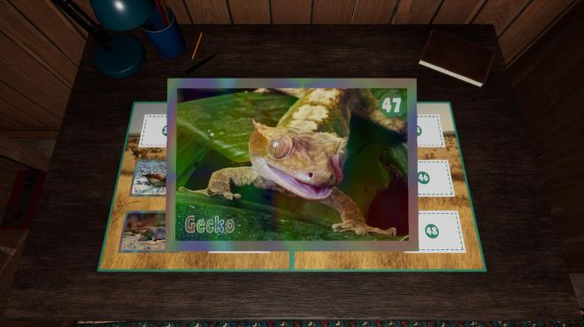 Crack it Up! Torrent Download
