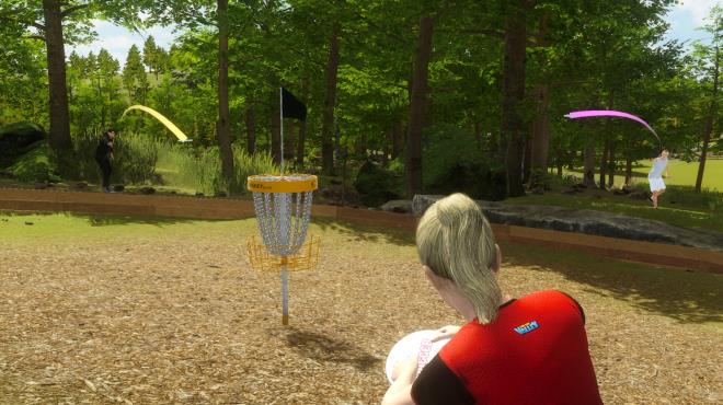 Disc Golf Masters PC Crack
