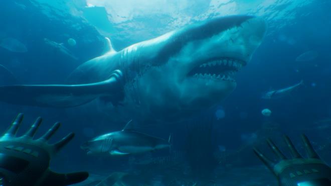 Paleo Dive Torrent Download Paleo Dive Torrent Download