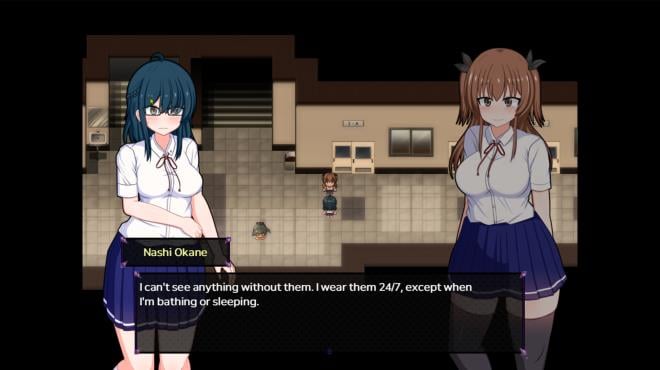 Do Disciplinary Committee Members Dream of Succubi? PC Crack