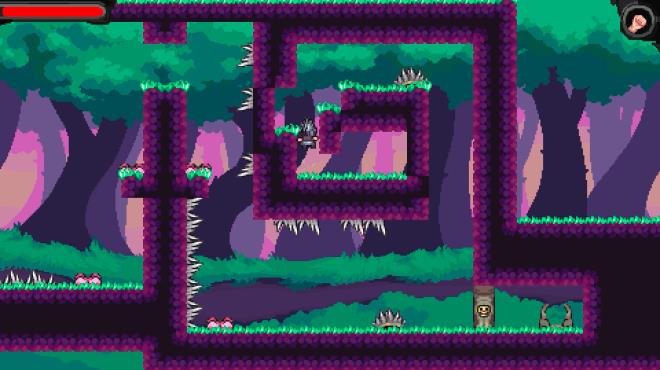 Magic Tiny Lands PC Crack